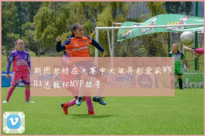 斯图尔特在决赛中大放异彩荣获WNBA总裁杯MVP称号
