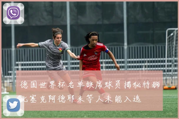 德国世界杯名单缺席球员揭秘特狮比塞克阿德耶米等人未能入选